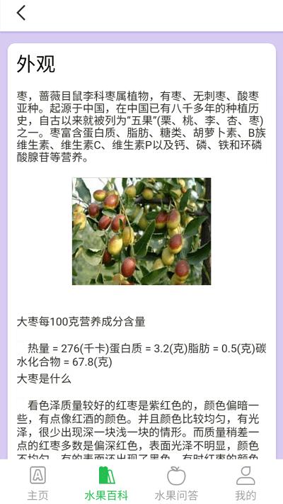 掌上果园app下载,掌上果园,水果app,百科app